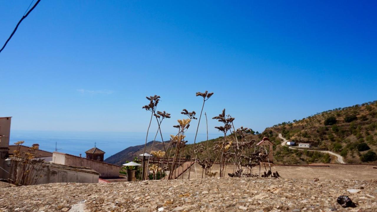 Casa Amigos Sorvilan - La Almendra Bagian luar foto