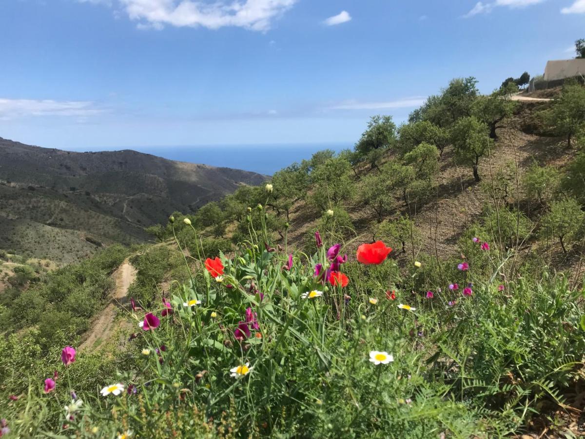 Casa Amigos Sorvilan - La Almendra Bagian luar foto