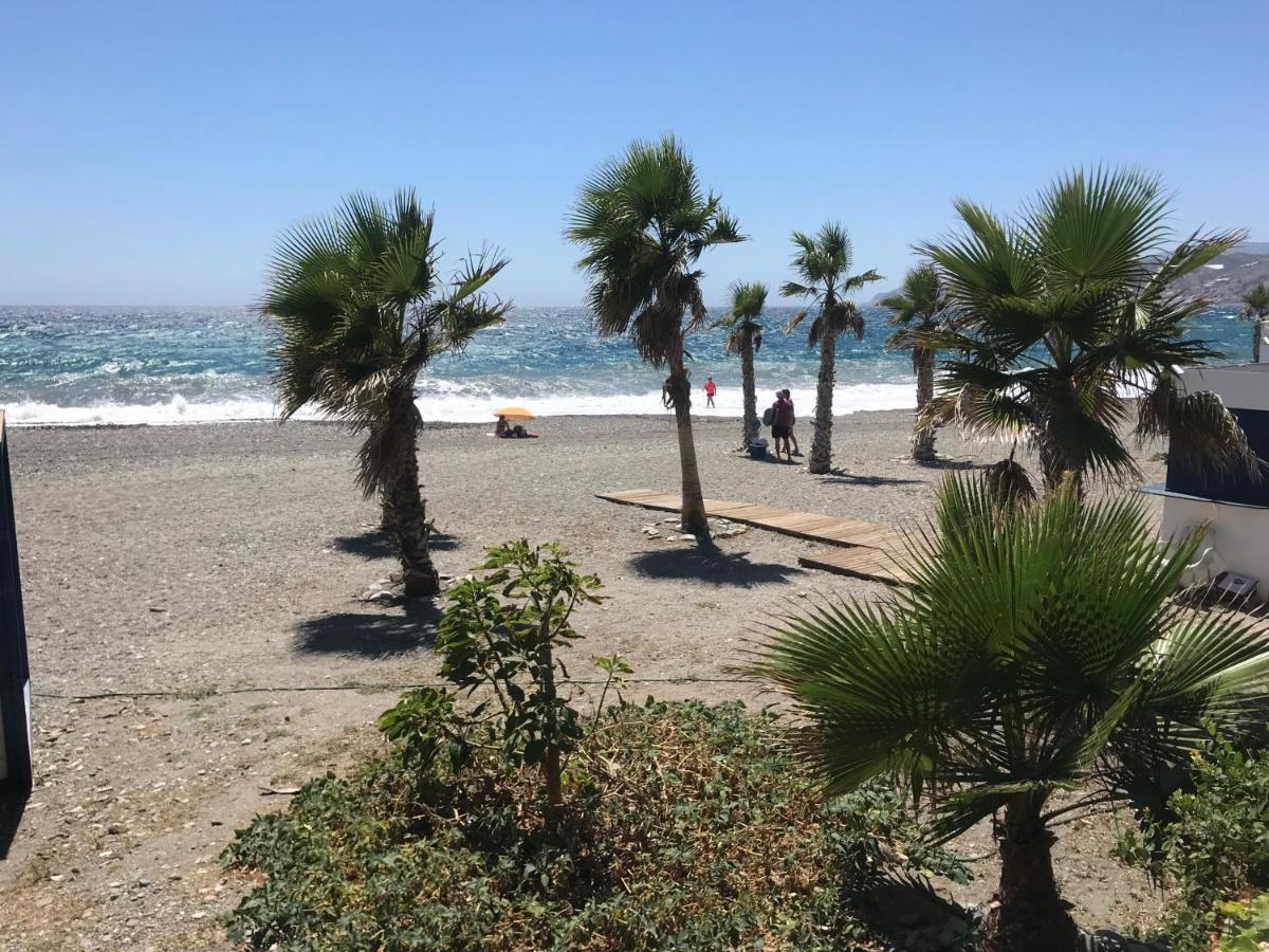 Casa Amigos Sorvilan - La Almendra Bagian luar foto