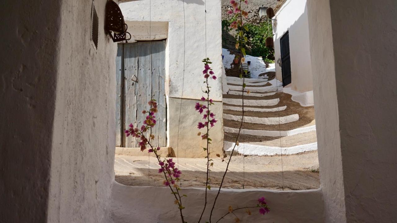Casa Amigos Sorvilan - La Almendra Bagian luar foto